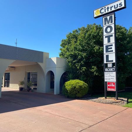Citrus Motel Гриффит Экстерьер фото