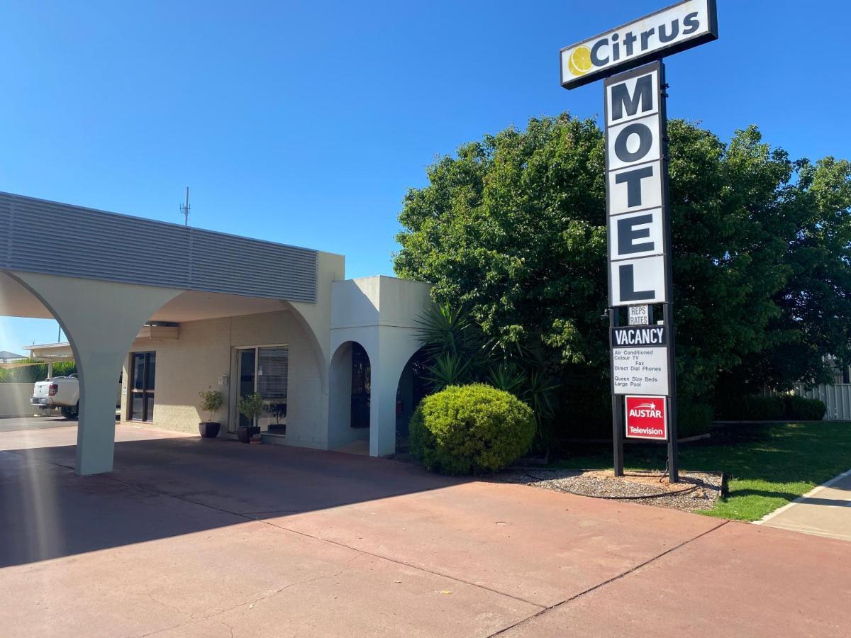 Citrus Motel Гриффит Экстерьер фото